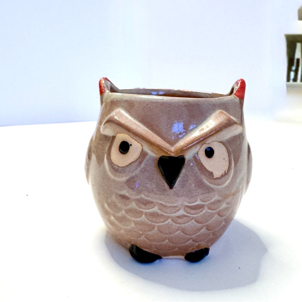 **SOLD** Charming Whimsical Owl Ceramic Planter for a Small Plant or Succulent